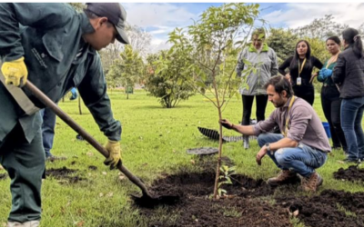 En el Día del Árbol: más de 300 nuevos árboles llegaron para fortalecer el espacio público de Bogotá.